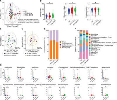 Exploring the gut mycobiome: differential composition and clinical associations in hypertension, chronic kidney disease, and their comorbidity